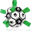 Interactive Dog Soccer Ball