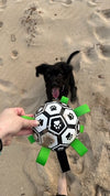 Interactive Dog Soccer Ball