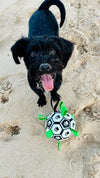 Interactive Dog Soccer Ball